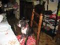 Click for preview picture of "IMG_1826 (640 x 480)"