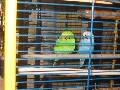 Click for preview picture of "IMG_1829 (640 x 480)"