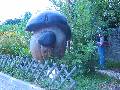Click for preview picture of "IMG_1848 (640 x 480)"