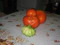 Click for preview picture of "IMG_1877 (640 x 480)"