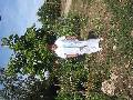 Click for preview picture of "IMG_1882 (360 x 480)"